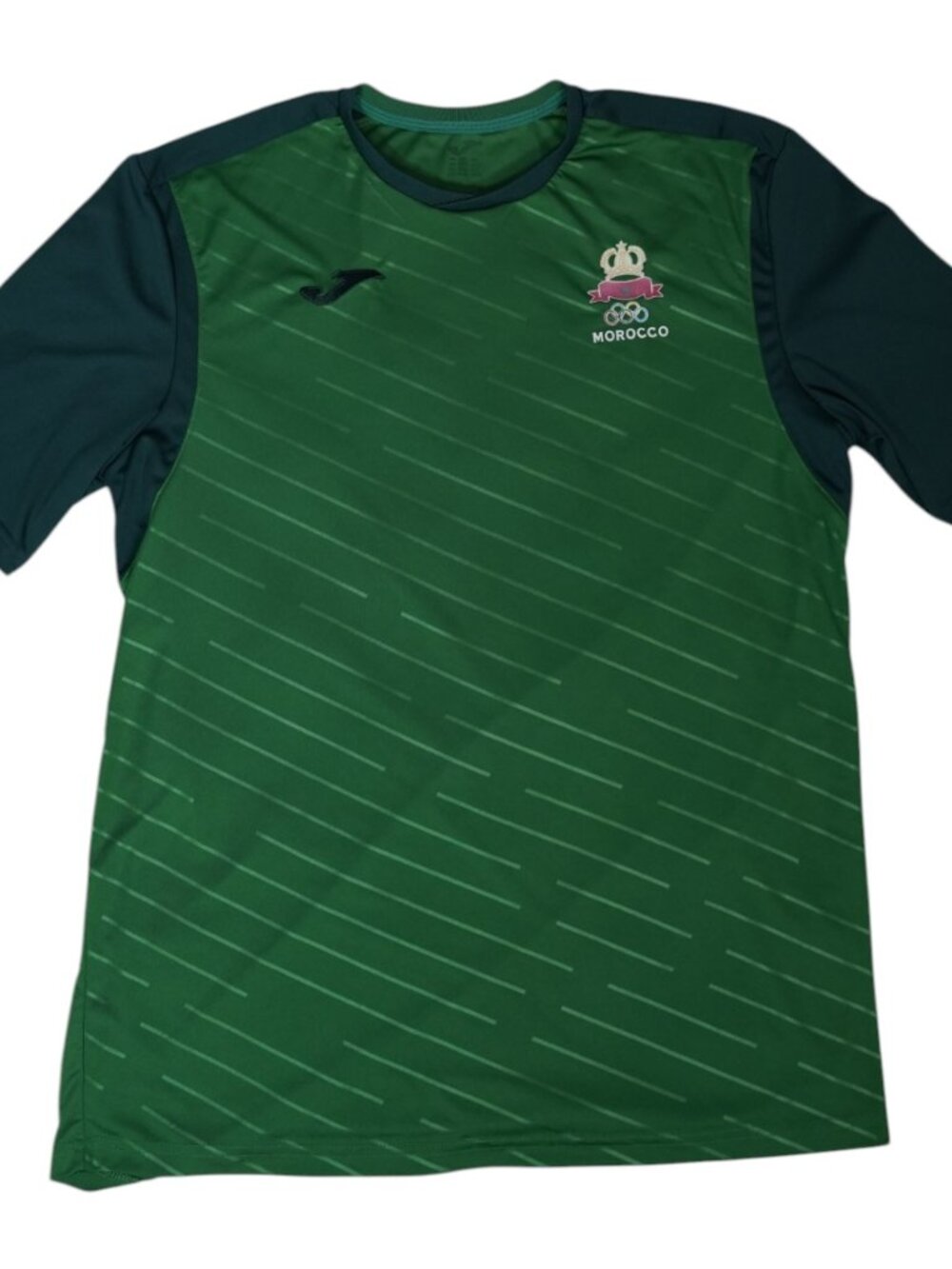 Joma Morocco national team training jersey